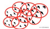 5af06749af1238853a10c1678752beba-flock-of-birds-silhouette-set